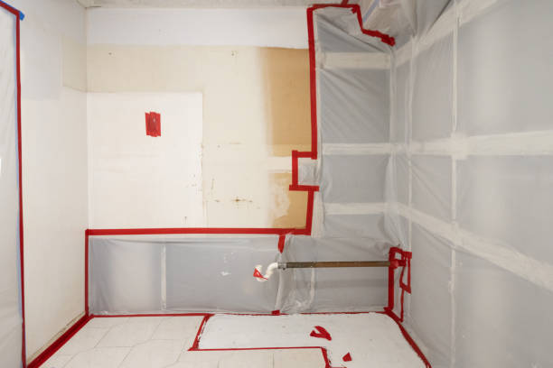 Best Real Estate Mold Inspection  in Lochmoor Waterway Estates, FL