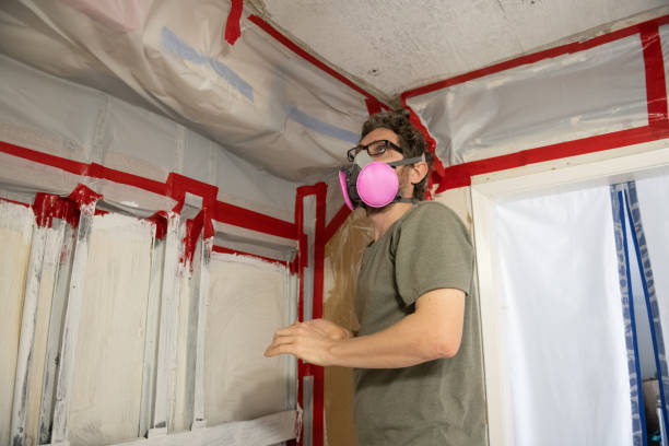 Best Mold Odor Removal Services  in Lochmoor Waterway Estates, FL