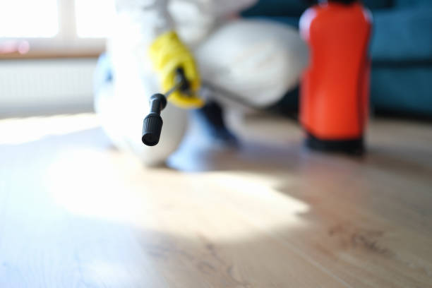 Best Mold Damage Restoration  in Lochmoor Waterway Estates, FL