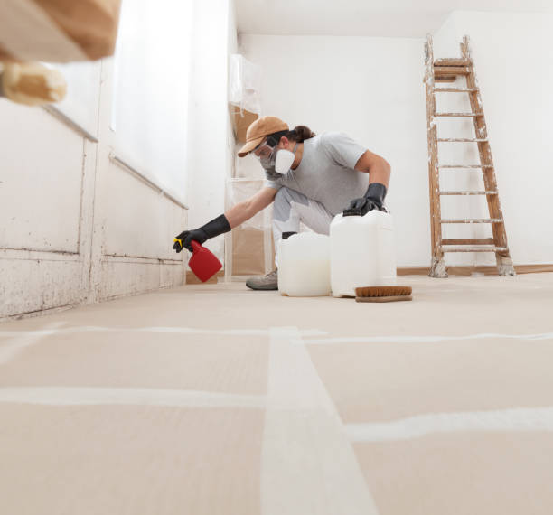 Reliable Lochmoor Waterway Estates, FL Mold Removal Solutions