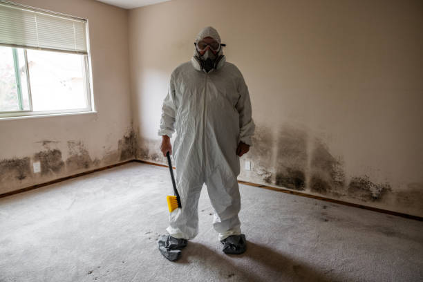 Best Flood Damage  in Lochmoor Waterway Estates, FL